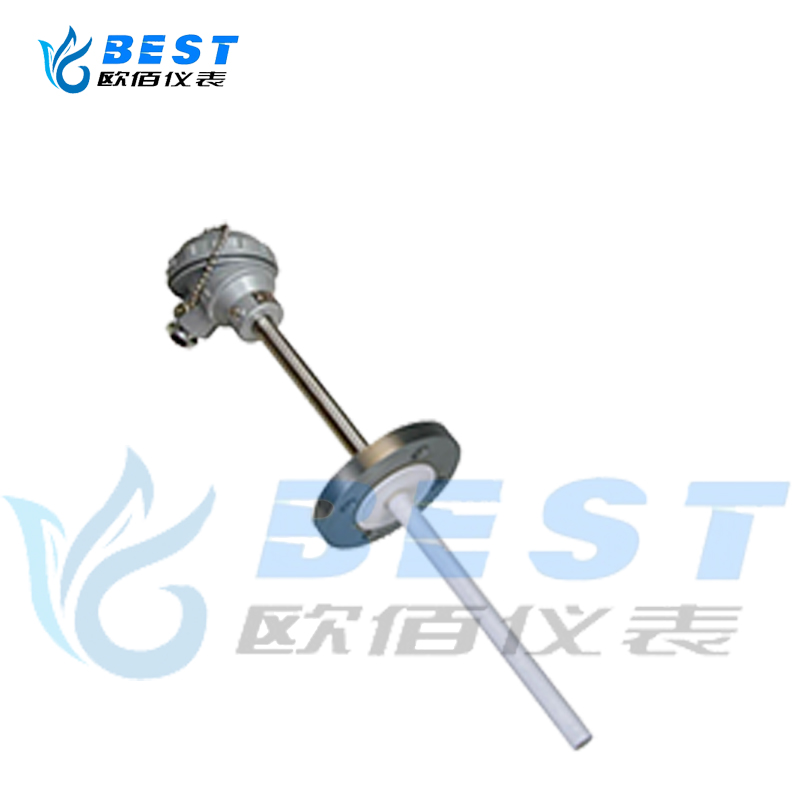 防腐熱電偶 